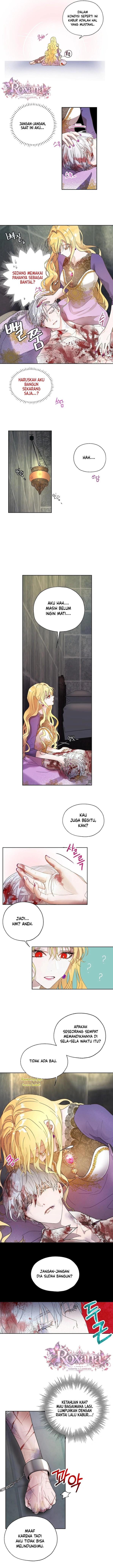 Roxana [Lumicatz x Amerta] Chapter 6 - Page 8